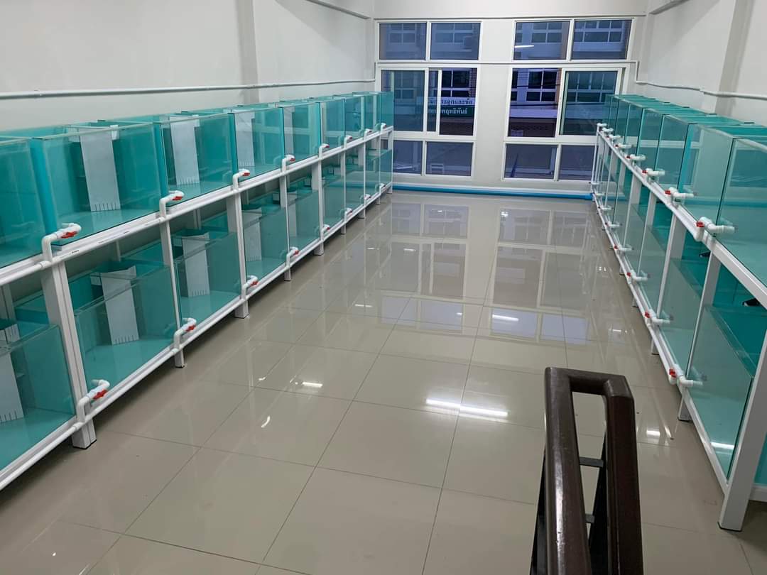 WhatsApp Image 2024-01-03 at 4.57.31 PM-2