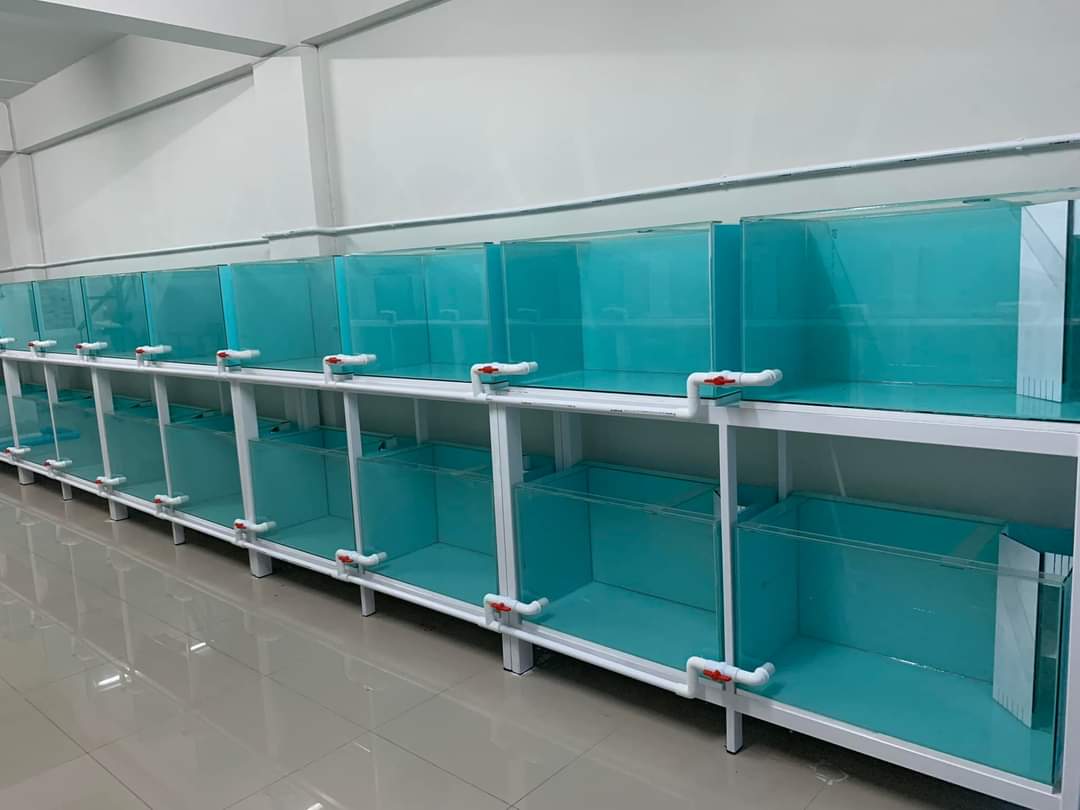 WhatsApp Image 2024-01-03 at 4.57.31 PM-3