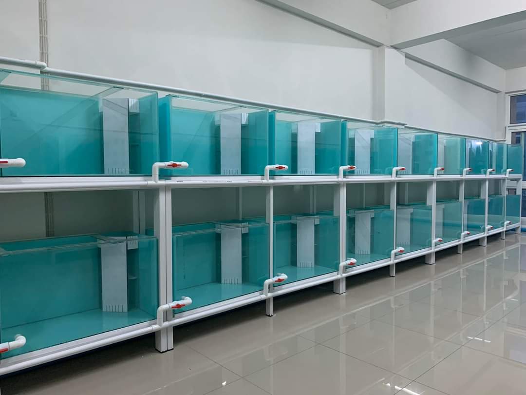 WhatsApp Image 2024-01-03 at 4.57.31 PM